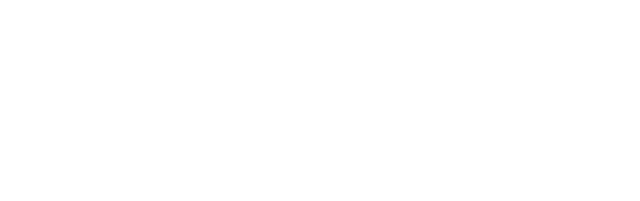 LSM Institute